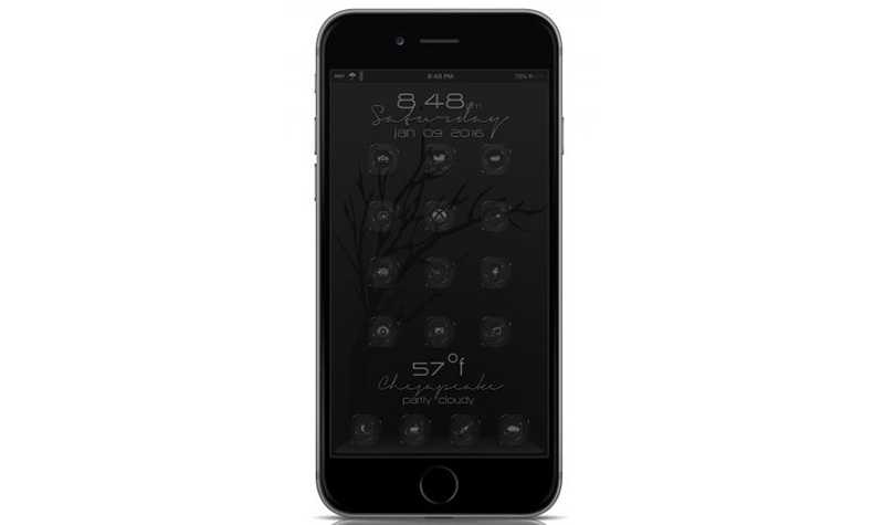Phần 1: Tổng hợp
40+ theme đẹp dành cho Anemone và thiết bị iOS đã jailbreak