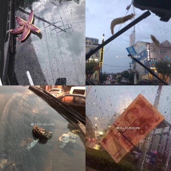 Bão lớn khiến hải sản tươi sống trút xuống như mưa
trên đường phố Trung Quốc