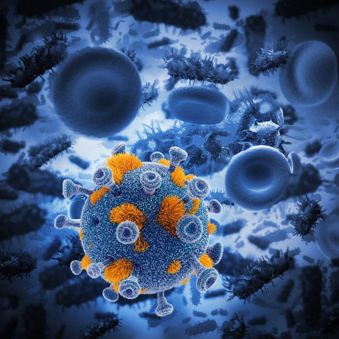 Nghiên cứu mới cho
thấy chủng virus Reovirus có thể tăng cường hệ miễn dịch,
đồng thời tấn công khối u ung thư
