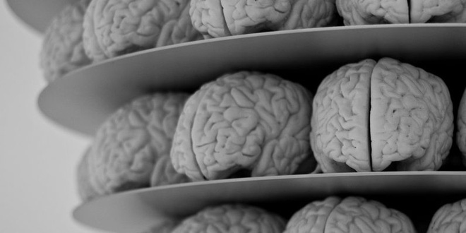 Các nhà khoa học đã tìm ra thuật toán mô phỏng bộ não con người, nhưng tiếc là không có cỗ máy nào có thể vận hành chúng được