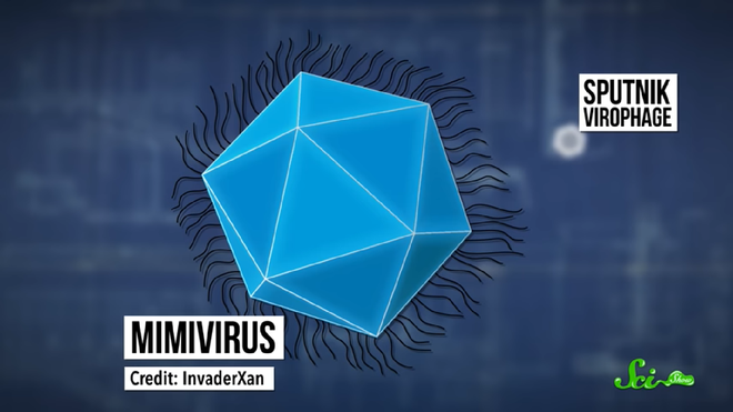 Sputnik: con virus gây sốc cho toàn bộ giới nghiên
cứu khoa học bằng cách kí sinh lên… một virus khác