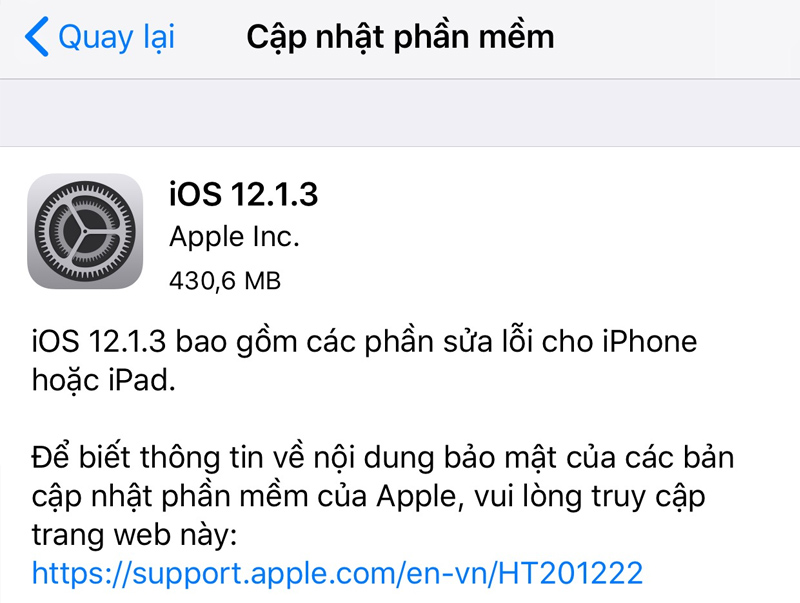 Apple chính thức phát
hành iOS 12.1.3 tiếp tục cải tiến và sửa lỗi cho iPhone,
iPad