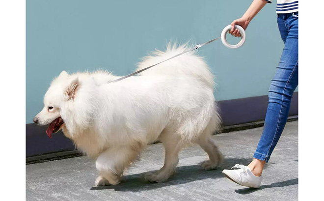 Xiaomi ra mắt dây dắt
chó thông minh, tích hợp đèn pin, giá khoảng 1 triệu
