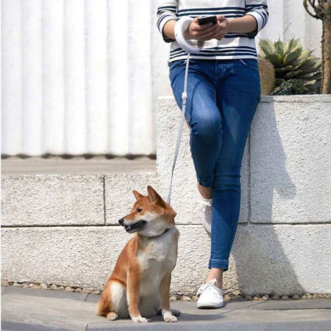 Xiaomi ra mắt dây dắt
chó thông minh, tích hợp đèn pin, giá khoảng 1 triệu