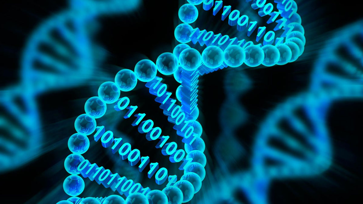 Trong tương lai, các
nhà khoa học dự định sử dụng DNA để lưu dữ liệu, với 1 gram
DNA có thể lưu trữ được 10 triệu gigabyte dữ liệu