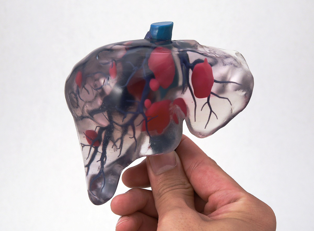 Những lá gan được
in3D sinh học sẽ tạo ra cuộccách mạng trong lĩnh vực cấy
ghép nội tạng