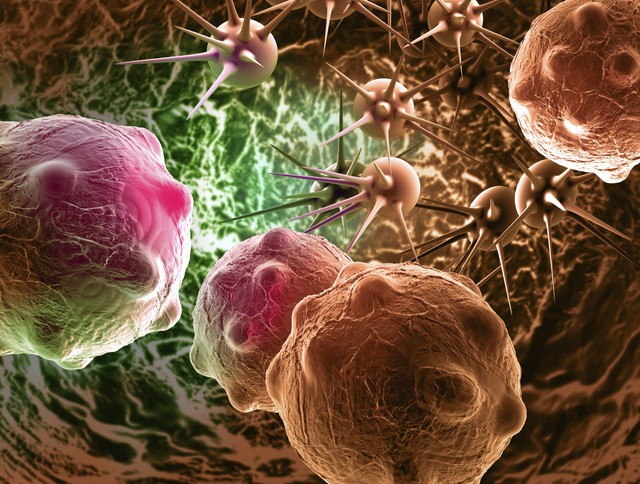 Tế bào ung
thư tồn tại và phát triển trong cơ thể chúng ta như thế
nào?