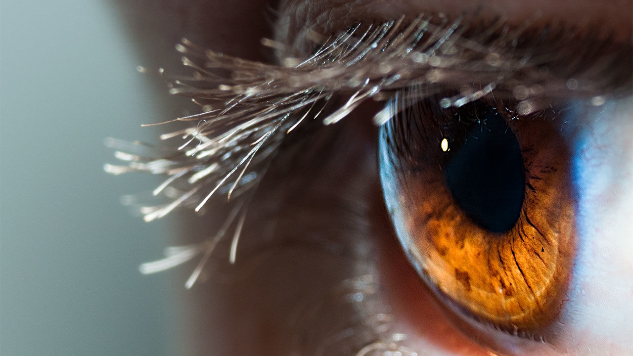 AI của Google có thể chẩn đoán tình trạng tim mạch bằng cách quét... mắt của bệnh nhân