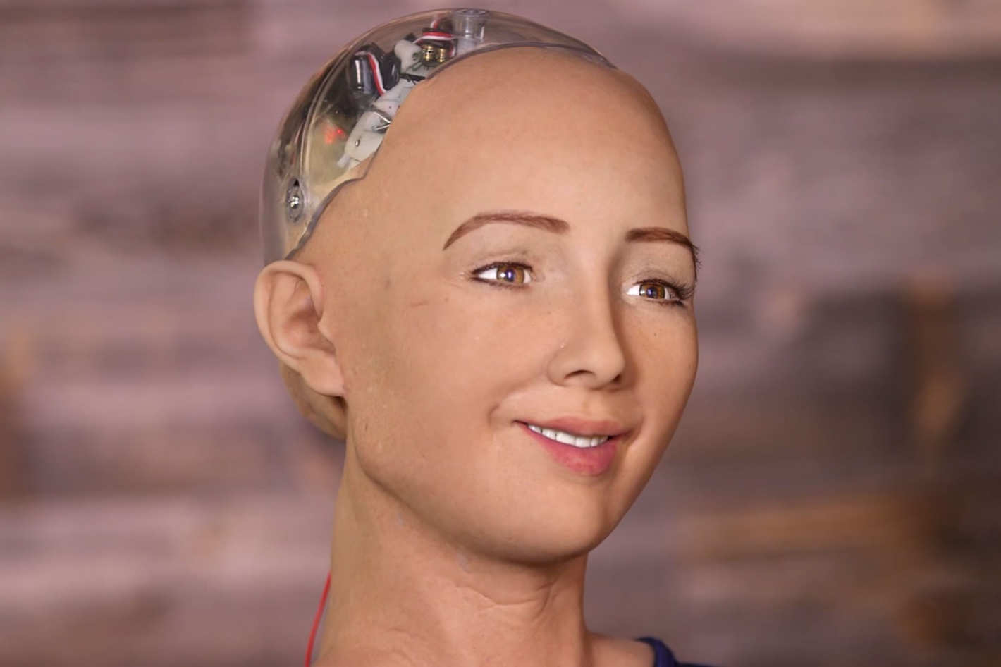 Robot Sophia được chế tạo thế nào?