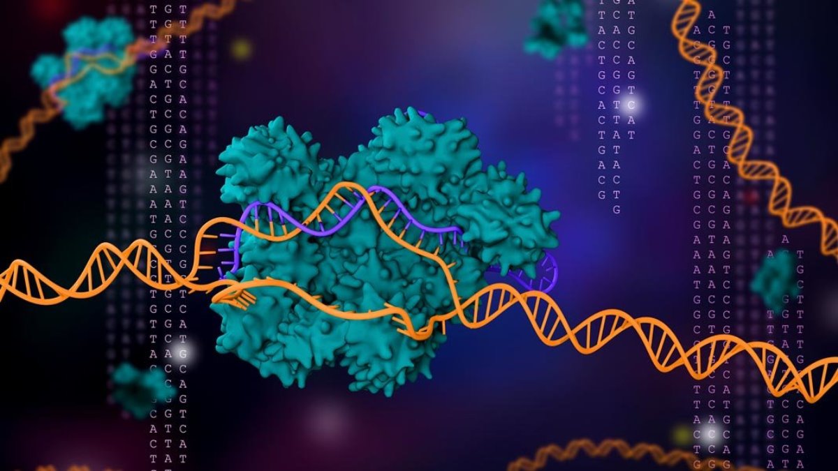 Lần đầu tiên, ba bệnh nhân ung thư ở Mỹ được điều trị bằng kỹ thuật chỉnh sửa gen CRISPR